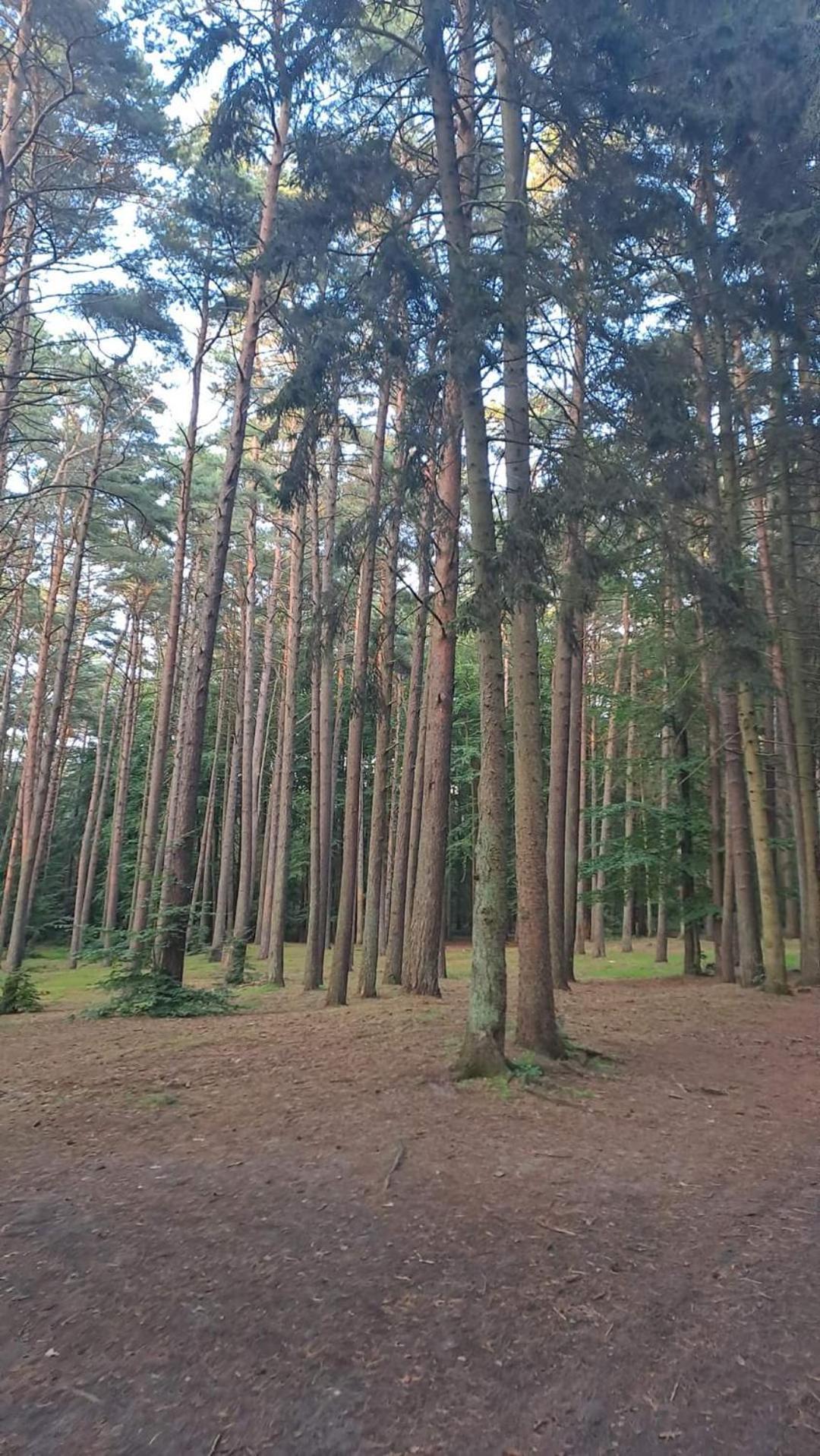 Pobierowo Baltic Apartaments D5 Kültér fotó